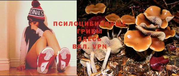 бутират Алексин