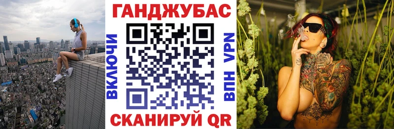 Каннабис сатива блэк спрут зеркало Чкаловск